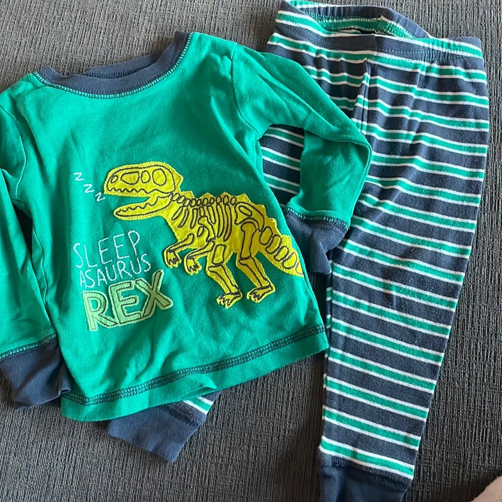 Long sleeved dinosaur pajamas